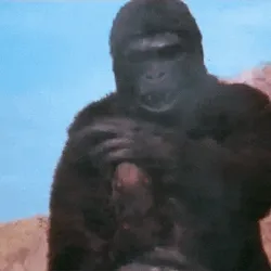 FKU APE  #26
