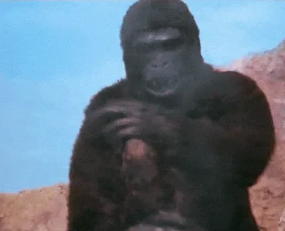 FKU APE  #36