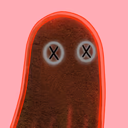 205