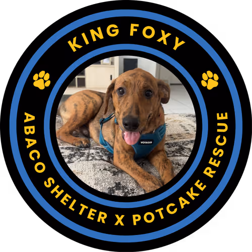 Foxy Adoption Badge