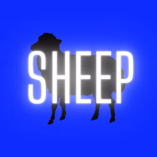 SHEEP ON APE #872