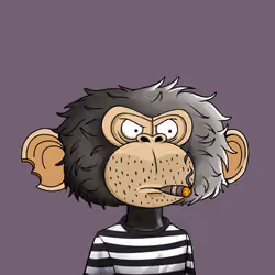 jimmy #4242