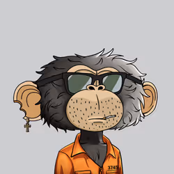 jimmy #484