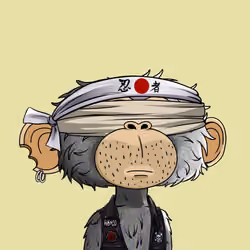 jimmy #179