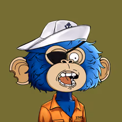 jimmy #3323