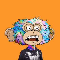 jimmy #8068