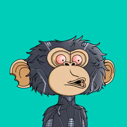 jimmy #2431