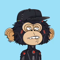 jimmy #3644