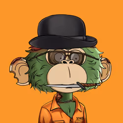 jimmy #4416
