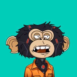 jimmy #6337