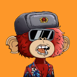 jimmy #3319