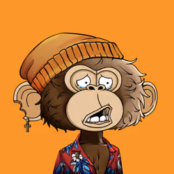 jimmy #6698