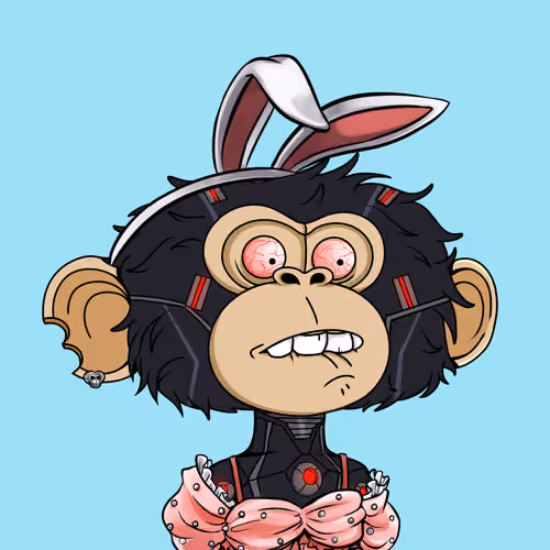 jimmy #2494