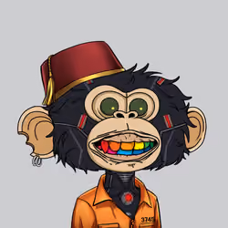 jimmy #1696