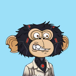 jimmy #6110