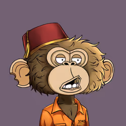 jimmy #7138