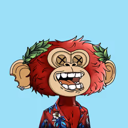 jimmy #2645