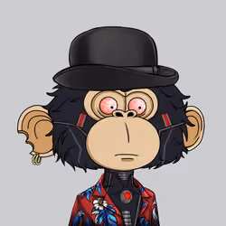 jimmy #3481