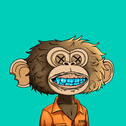 jimmy #1083