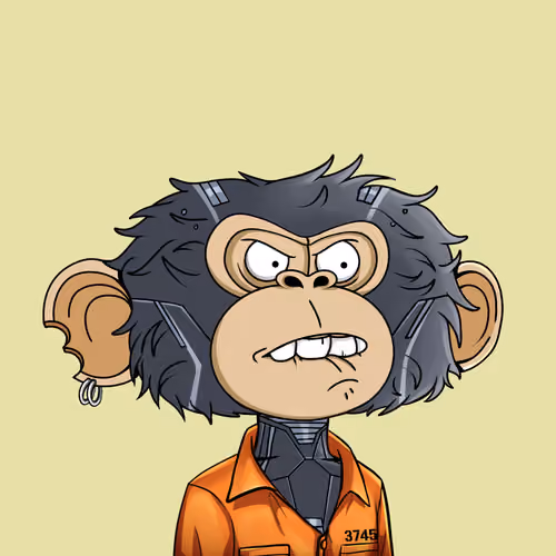 jimmy #8005