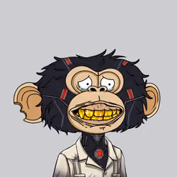 jimmy #1803
