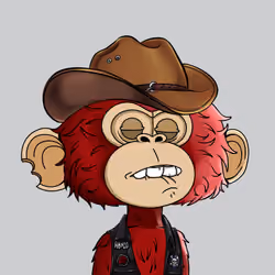 jimmy #2340