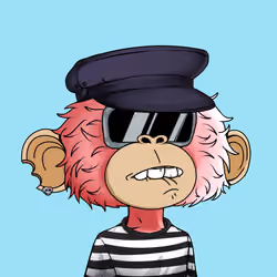 jimmy #168