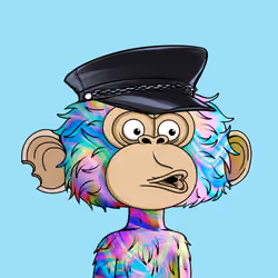 jimmy #826
