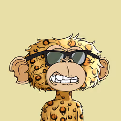 jimmy #4145