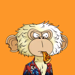 jimmy #4078