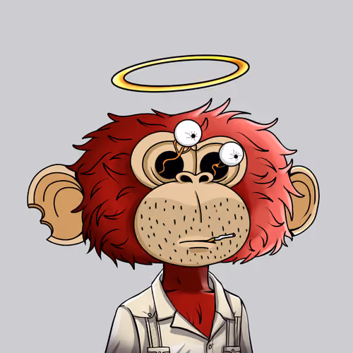 jimmy #8316