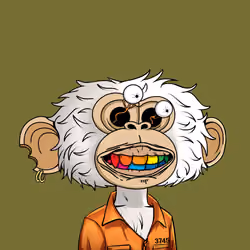 jimmy #9760