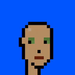 Punk #4080