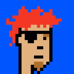 Punk #8504