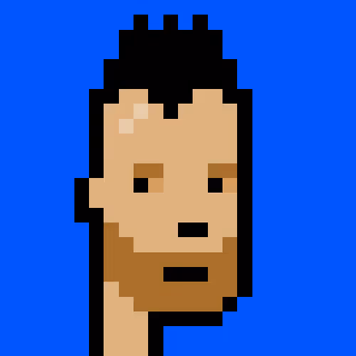 Punk #5506