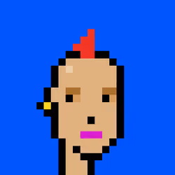 Punk #3051