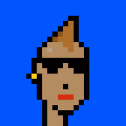 Punk #589