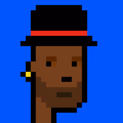 Punk #891