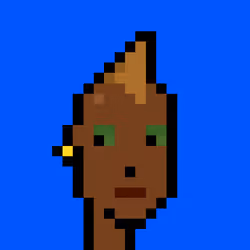 Punk #9035