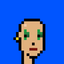 Punk #7938