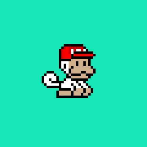 Item #255 Media