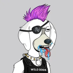Wild Dogs #5473