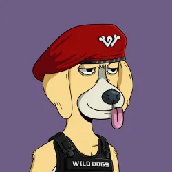 Wild Dogs #2622