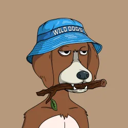 Wild Dogs #6009