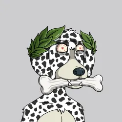 Wild Dogs #7298