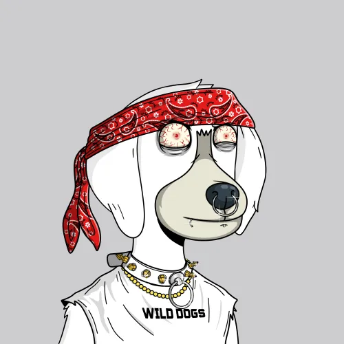 Wild Dogs #4426