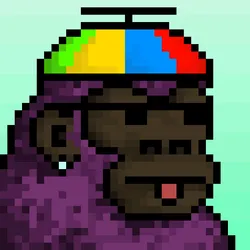 Kong APE #304