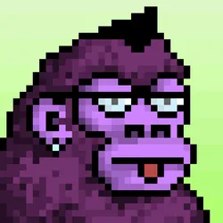 Kong APE #569