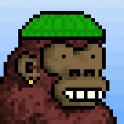 Kong APE #808