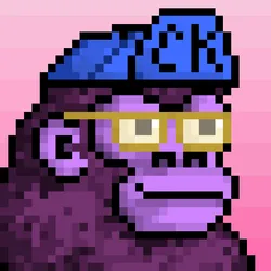 Kong APE #307